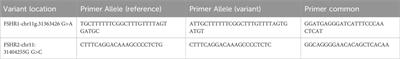 Puberty classifications in beef heifers are moderately to highly heritable and associated with candidate genes related to cyclicity and timing of puberty